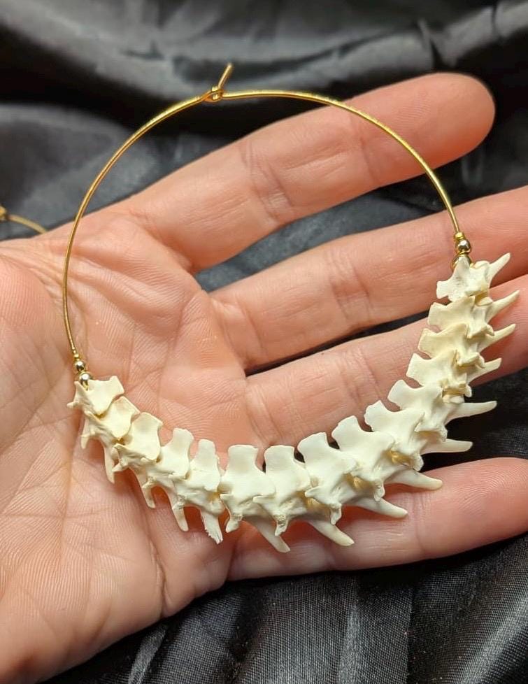 Rattlesnake Vertebrae Half Hoop Earrings, 2.75”