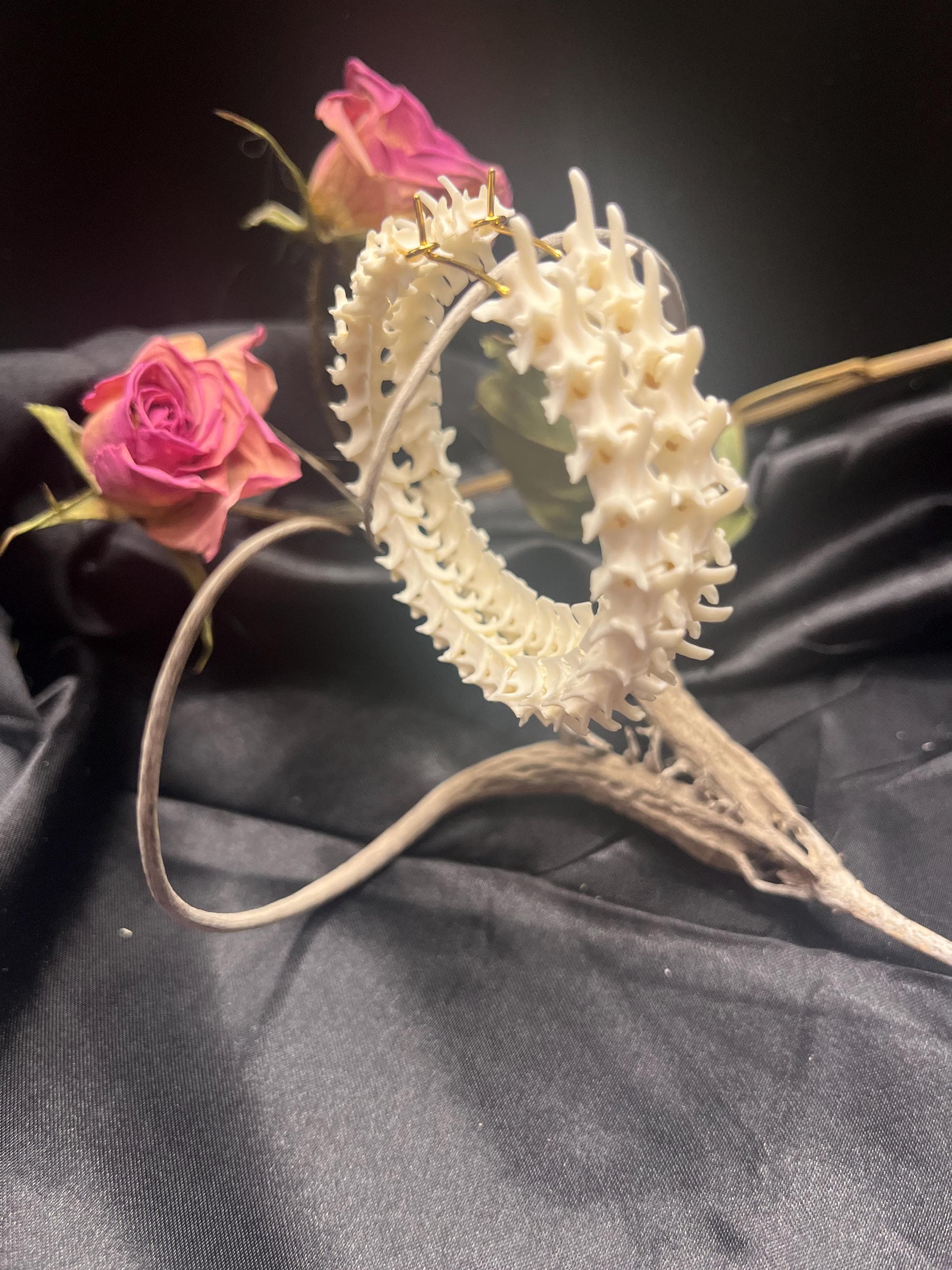 Diamondback Rattlesnake Vertebrae Hoop Earrings – Western Snake Bone Jewelry