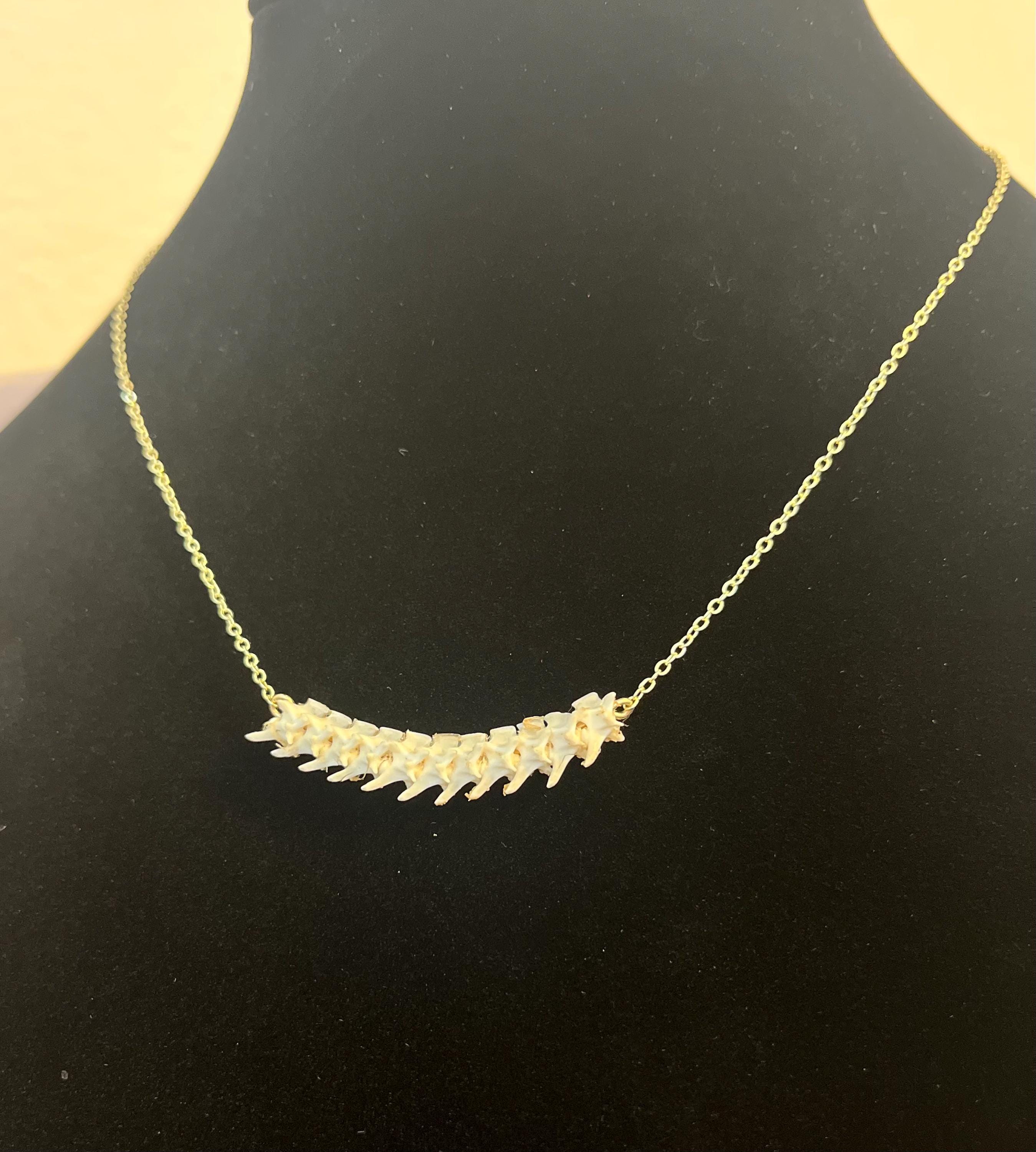 Rattlesnake Vertebrae Necklace