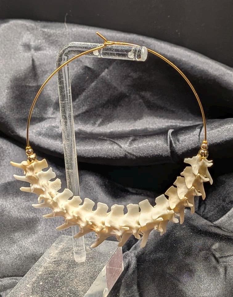 Rattlesnake Vertebrae Half Hoop Earrings, 2.75”