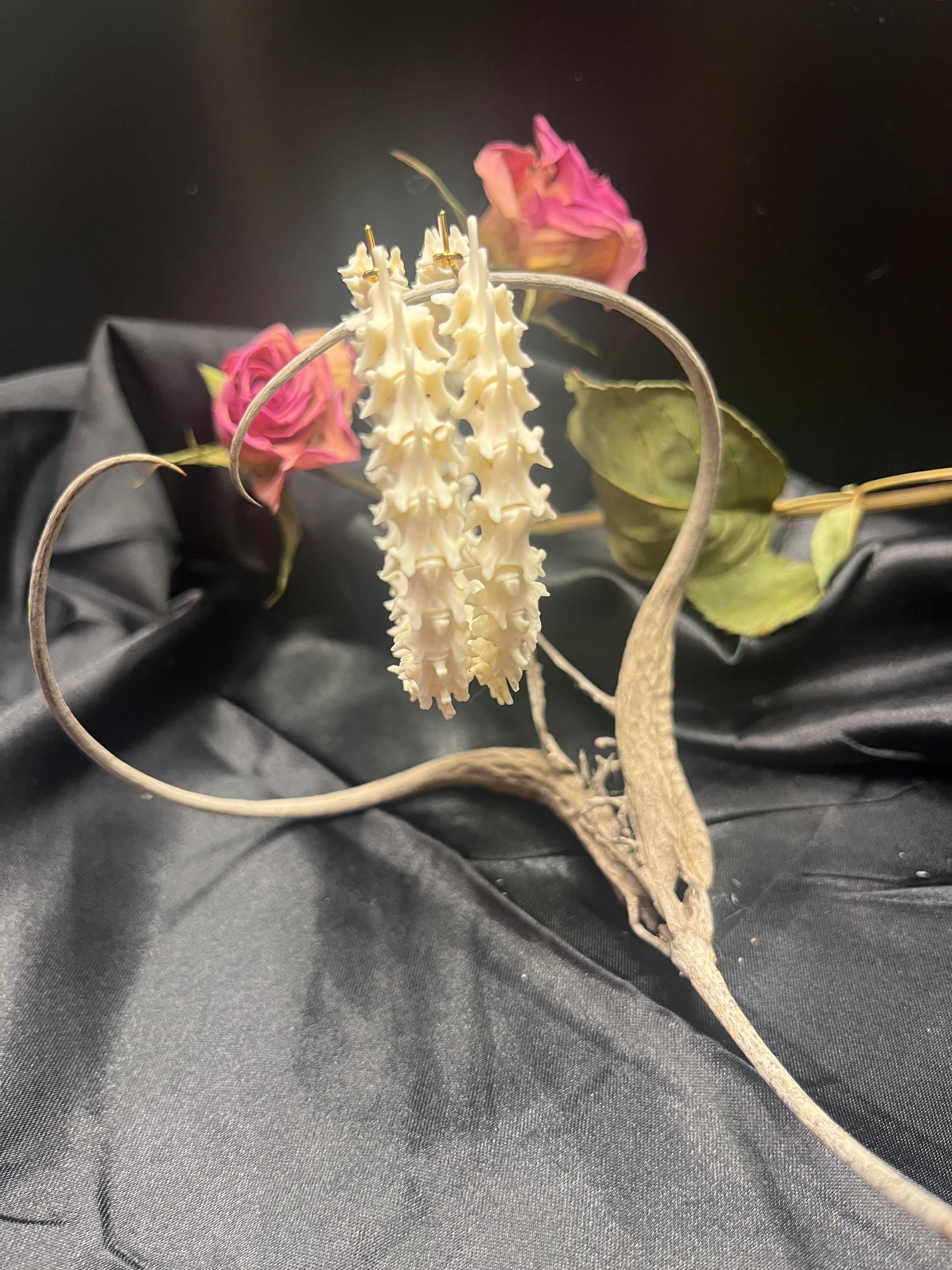 Diamondback Rattlesnake Vertebrae Hoop Earrings – Western Snake Bone Jewelry